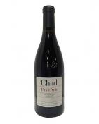 Chad Wine Company - Pinot Noir Willamette Valley 2021 (750ml)