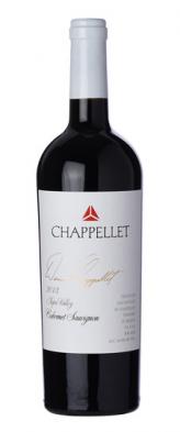 Chappellet - Cabernet Sauvignon Signature Napa Valley 2019 (750ml) (750ml)
