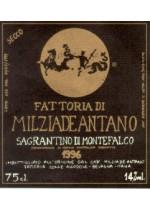 Milziade Antano - Sagrantino di Montefalco 2020 (750ml) (750ml)
