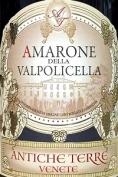 Antiche Terre - Amarone della Valpolicella 2019 (750ml)