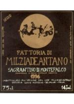 Milziade Antano - Sagrantino di Montefalco 2019 (750ml) (750ml)